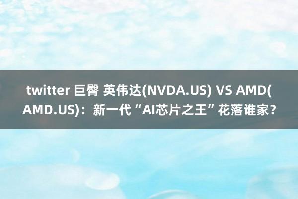 twitter 巨臀 英伟达(NVDA.US) VS AMD(AMD.US)：新一代“AI芯片之王”花落谁家？