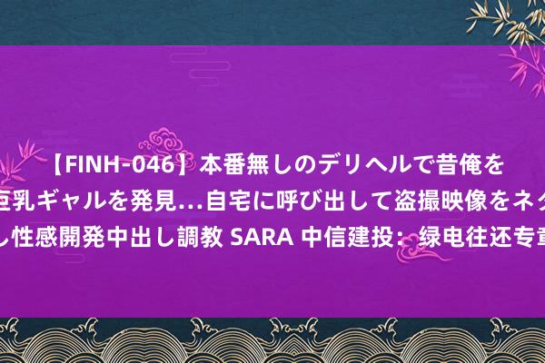 【FINH-046】本番無しのデリヘルで昔俺をバカにしていた同級生の巨乳ギャルを発見…自宅に呼び出して盗撮映像をネタに本番を強要し性感開発中出し調教 SARA 中信建投：绿电往还专章近日出台，促进新动