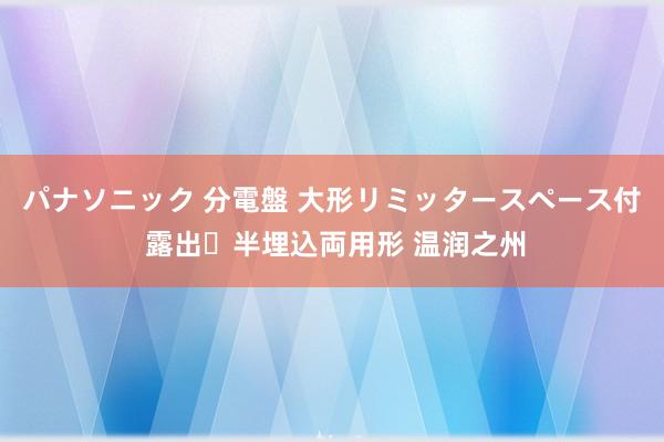 パナソニック 分電盤 大形リミッタースペース付 露出・半埋込両用形 温润之州