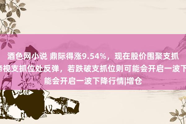 酒色网小说 鼎际得涨9.54%，现在股价围聚支抓位30.97，谛视支抓位处反弹，若跌破支抓位则可能会开启一波下降行情|增仓