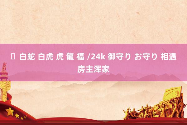 ✨白蛇 白虎 虎 龍 福 /24k 御守り お守り 相遇房主浑家